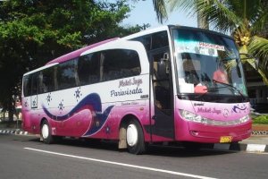 Bus Pariwisata Medal Jaya