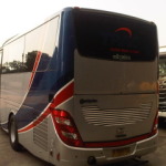 Bus Pariwisata Trac - Back View