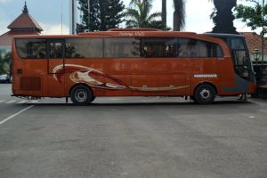 Bus Pariwisata Warga Baru