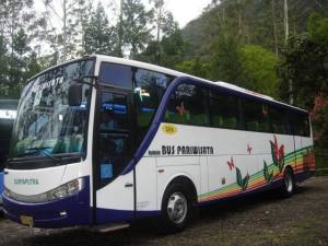 Bus Surya Putra