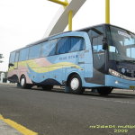 Bus Pariwisata Bluestar