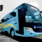 Bus Pariwisata Bluestar